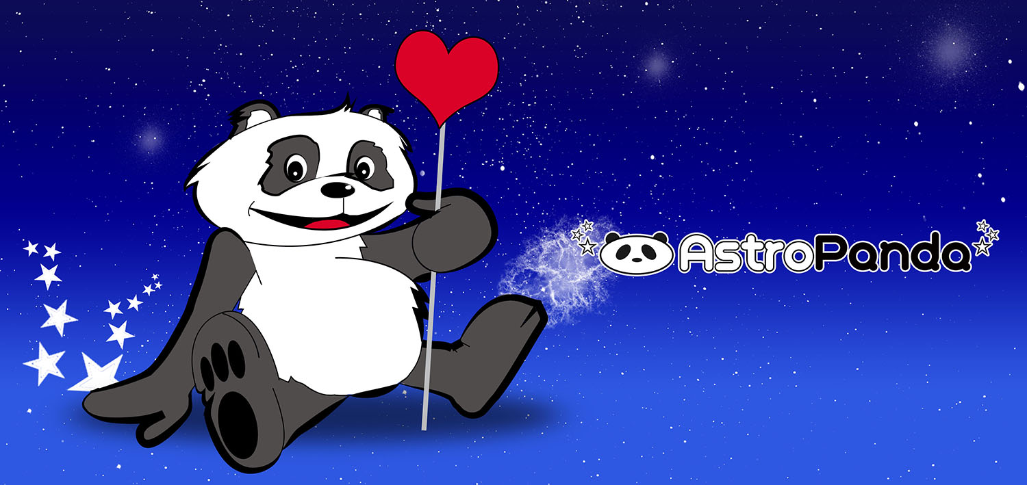 Astro Panda Character Design